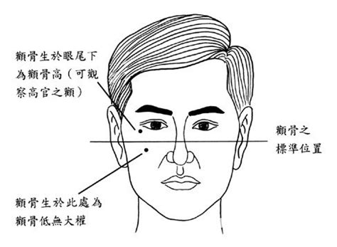 顴骨飽滿面相|面相算命顴骨圖解